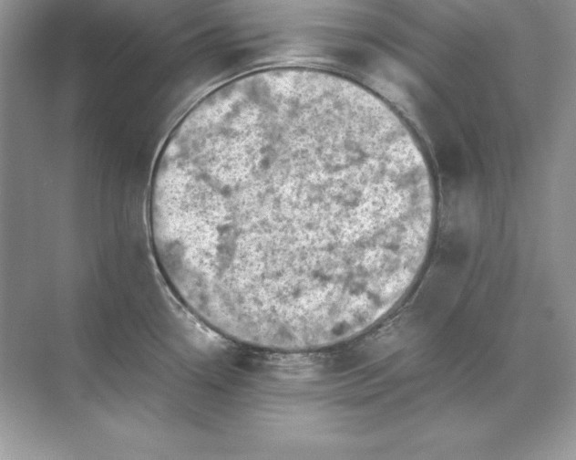 X0000071951338200607212216