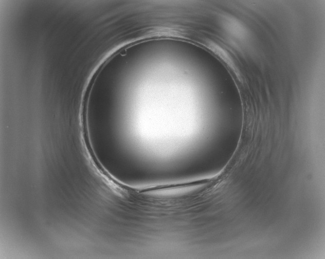 X0000071951339200607212216