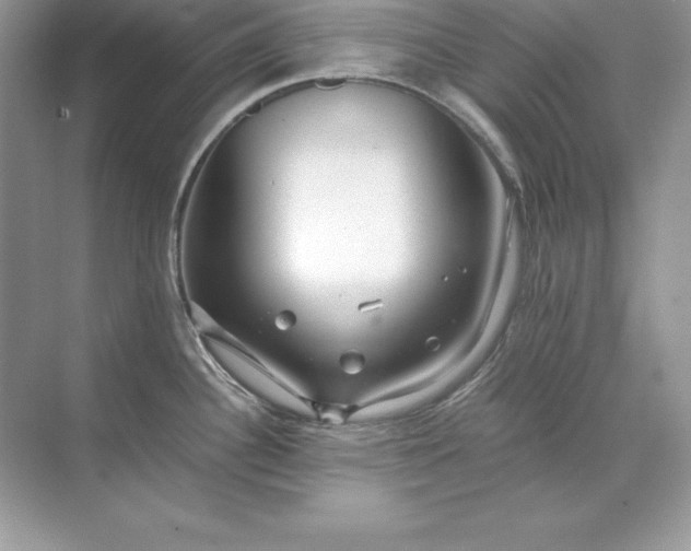 X0000071951340200607212216