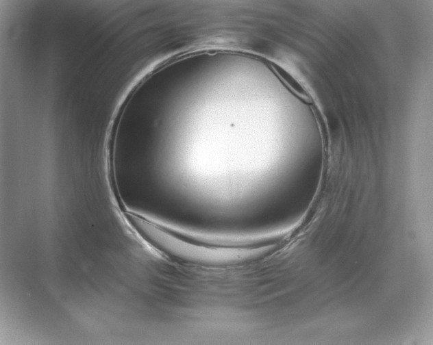 X0000071951341200607212216