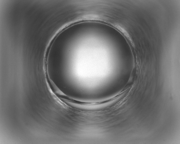 X0000071951342200607212216