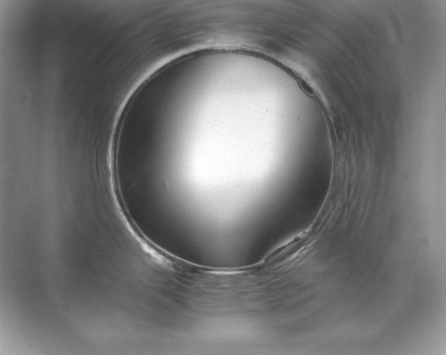 X0000071951343200607212217