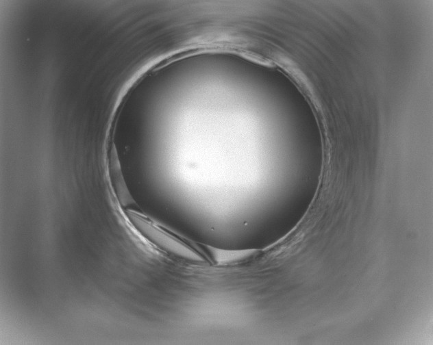 X0000071951344200607212217