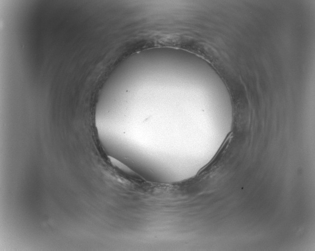 X0000071951345200607212216