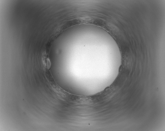 X0000071951346200607212216