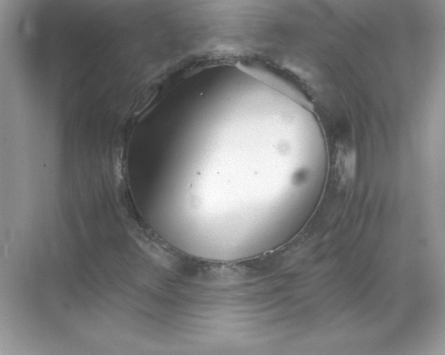 X0000071951348200607212216