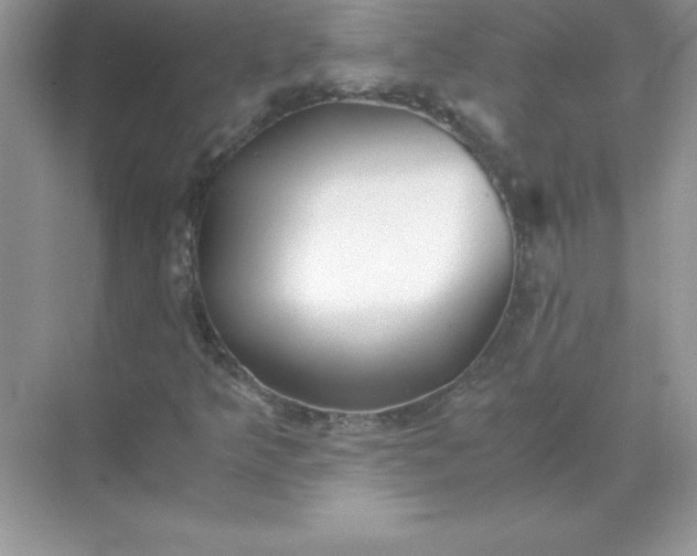 X0000071951349200607212216