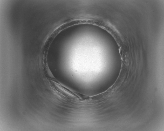 X0000071951352200607212216