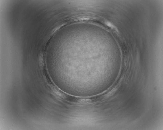 X0000071951353200607212216