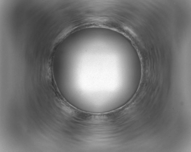 X0000071951354200607212216