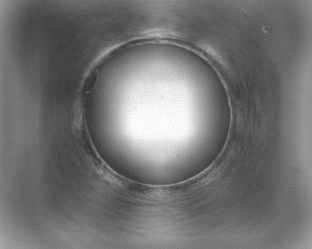 X0000071951358200607212215