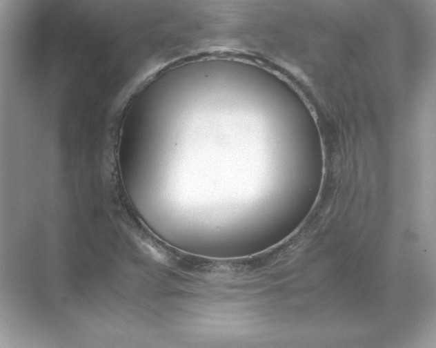 X0000071951359200607212215