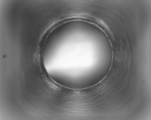 X0000071951360200607212215