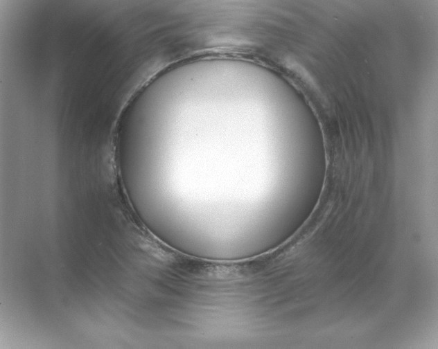 X0000071951362200607212215