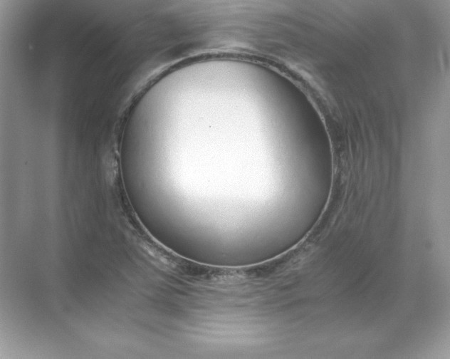 X0000071951363200607212215