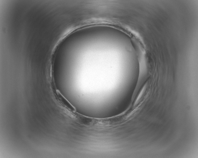 X0000071951365200607212215