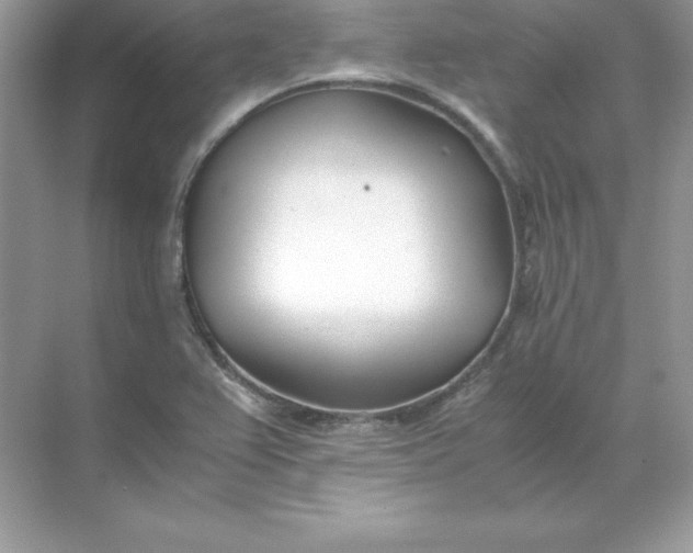 X0000071951367200607212215