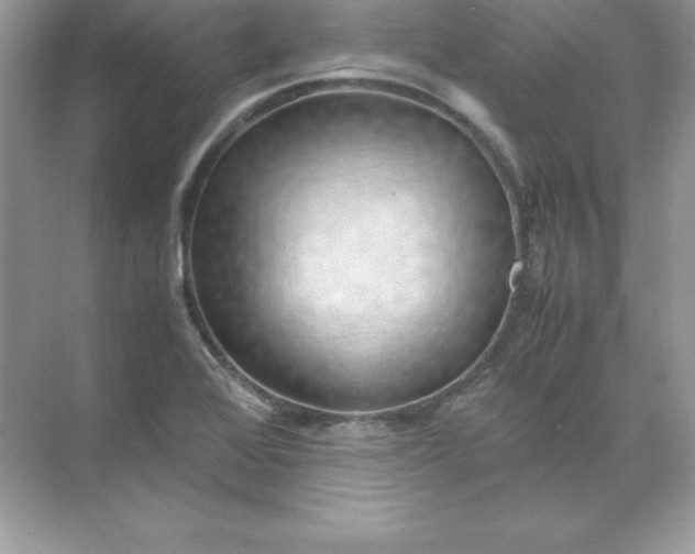 X0000071951368200607212215