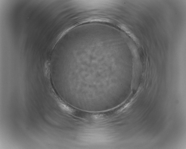 X0000071951369200607212215