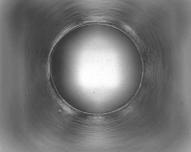 X0000071951370200607212215