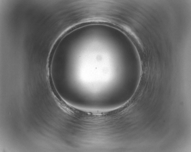 X0000071951372200607212215