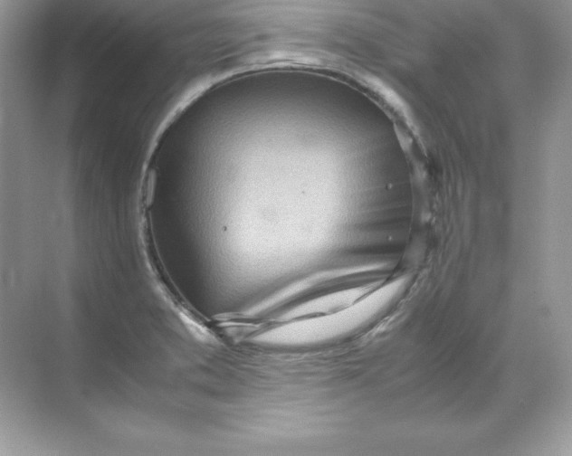 X0000071951373200607212215