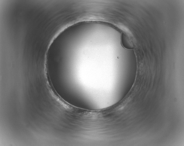 X0000071951374200607212215