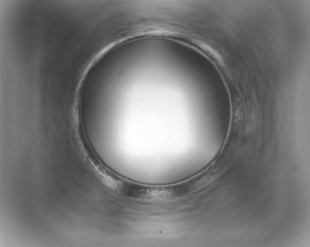 X0000071951375200607212215