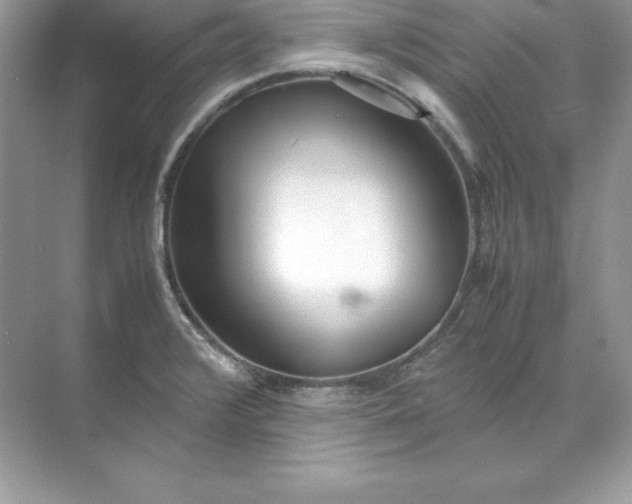 X0000071951376200607212215