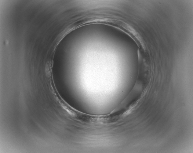 X0000071951377200607212215