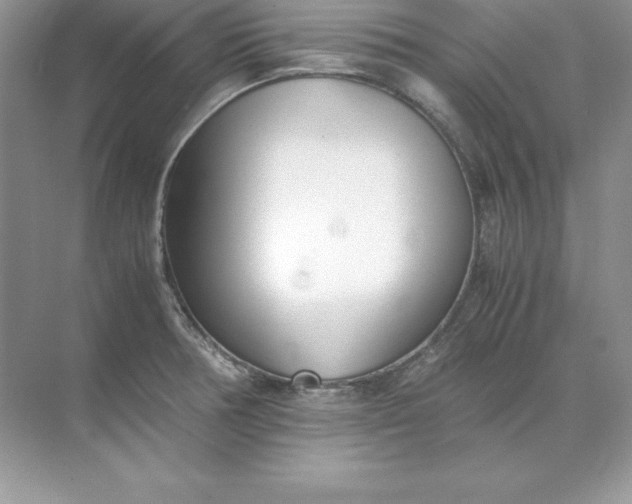 X0000071951378200607212215