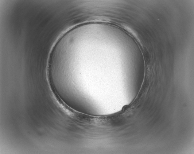 X0000071951379200607212215