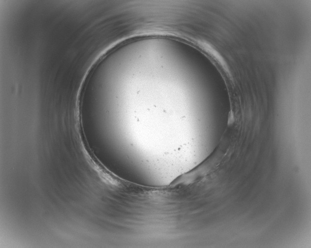 X0000071951380200607212215