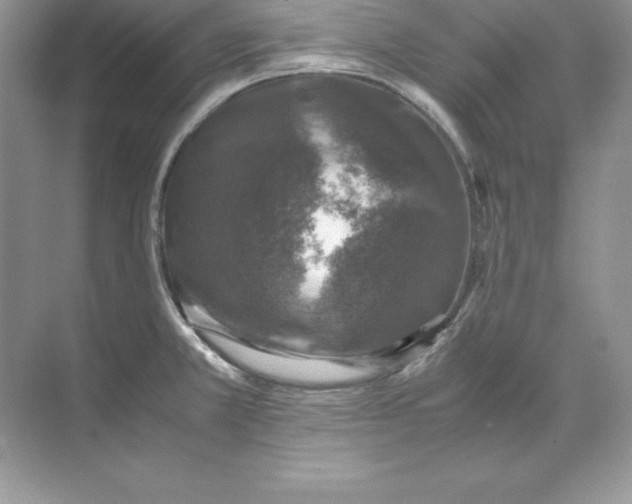 X0000071951381200607212215