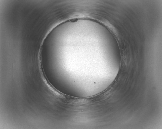 X0000071951382200607212215