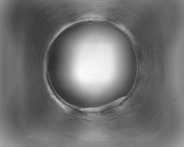 X0000071951383200607212215