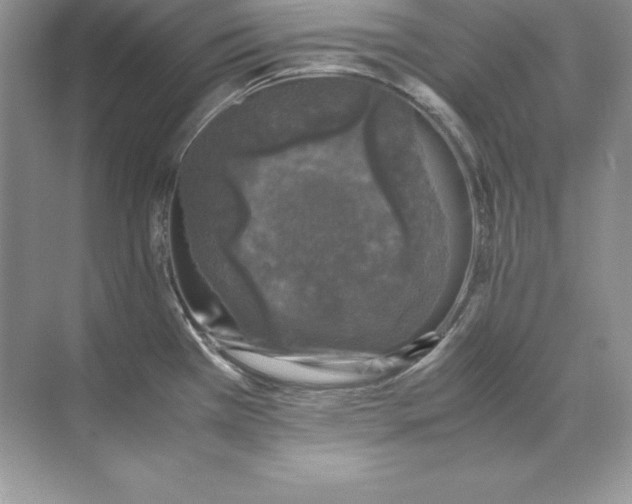 X0000071951385200607212215