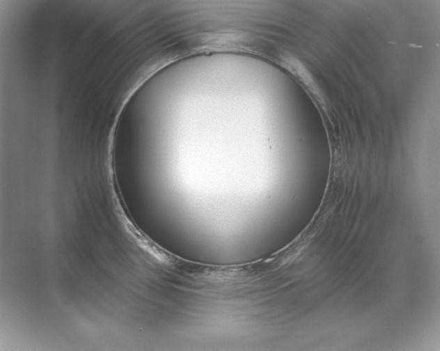 X0000071951386200607212215