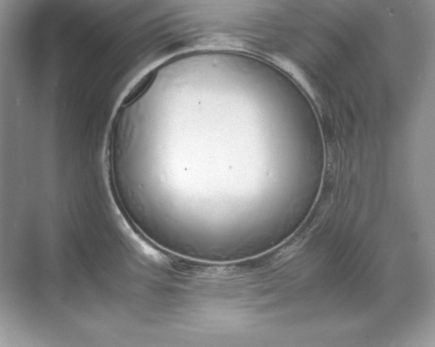 X0000071951387200607212215