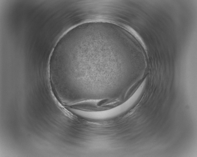 X0000071951388200607212215