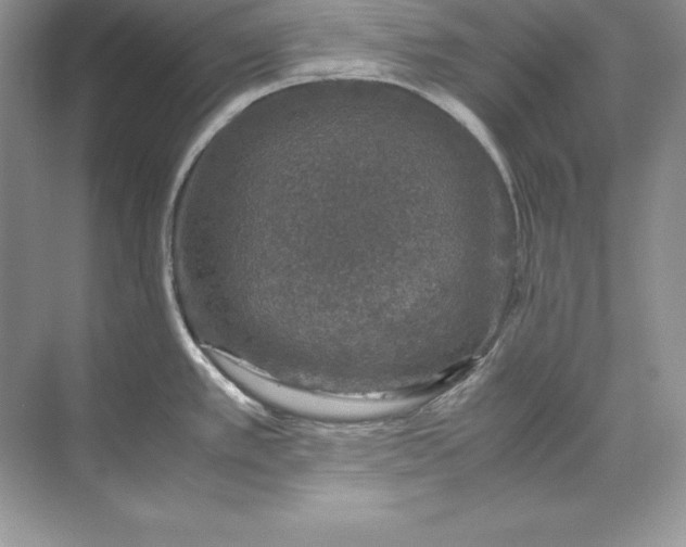 X0000071951389200607212215