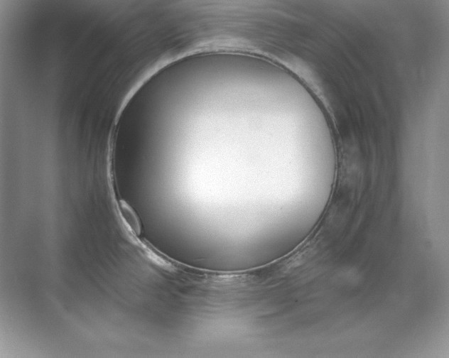 X0000071951390200607212215