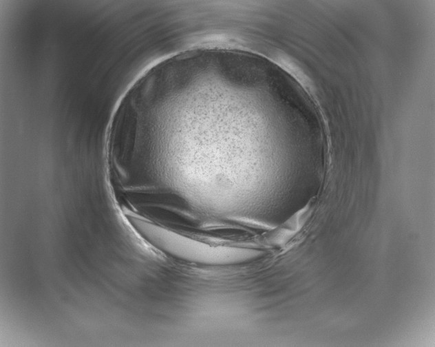 X0000071951392200607212215