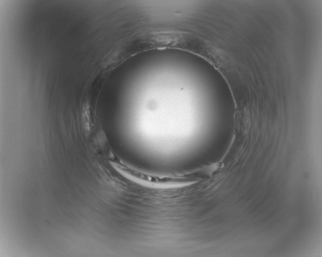 X0000071951394200607212214