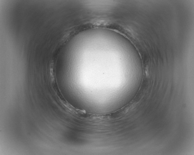 X0000071951396200607212214