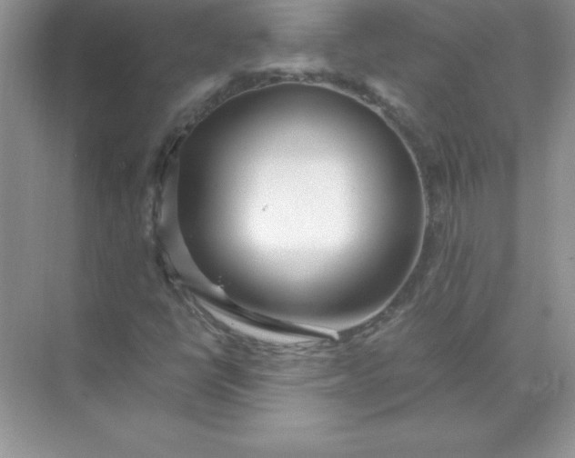 X0000071951398200607212214