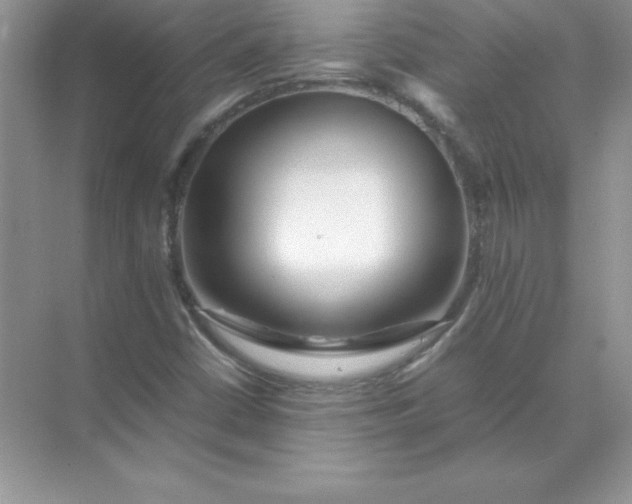 X0000071951402200607212214