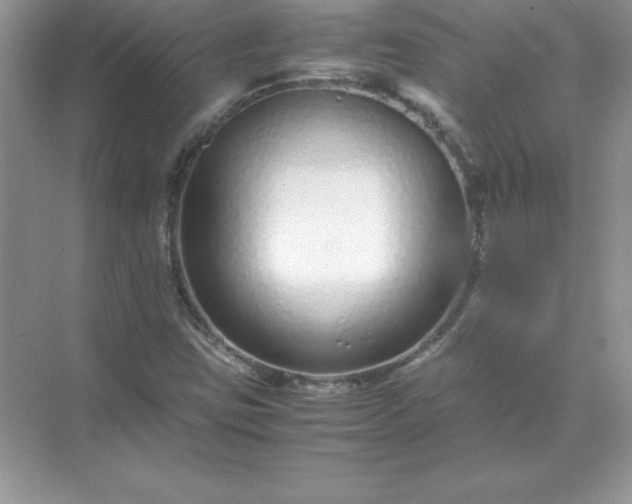 X0000071951403200607212214