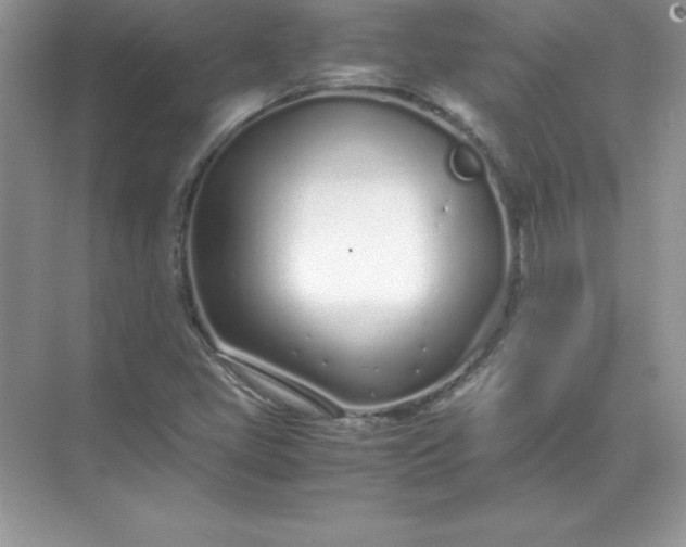 X0000071951405200607212214