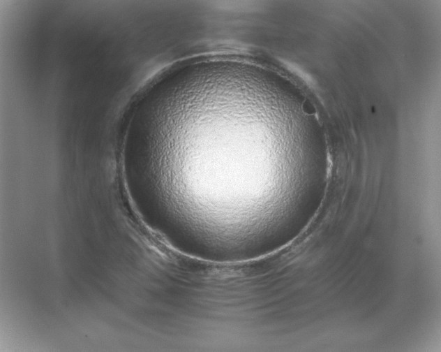 X0000071951407200607212214